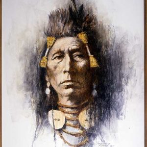 Crow Brave