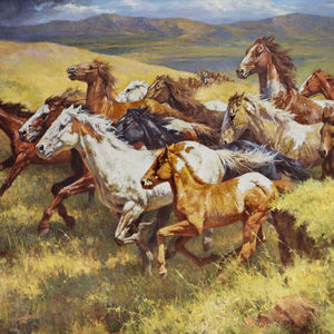 Thunder of the Wild Mustangs