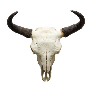 Spanish Vintage mid century southwestern oil on board painting of cow skull